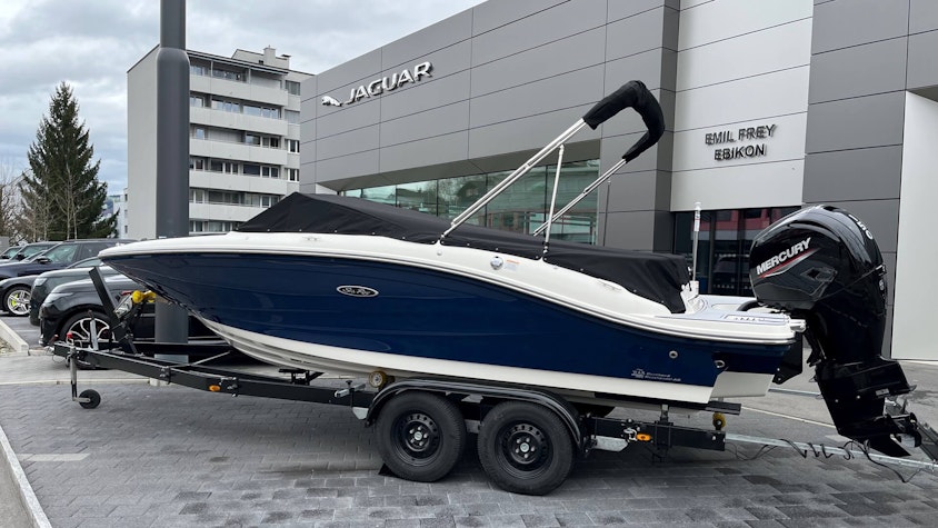 Grosse Frühlingsausstellung 2023